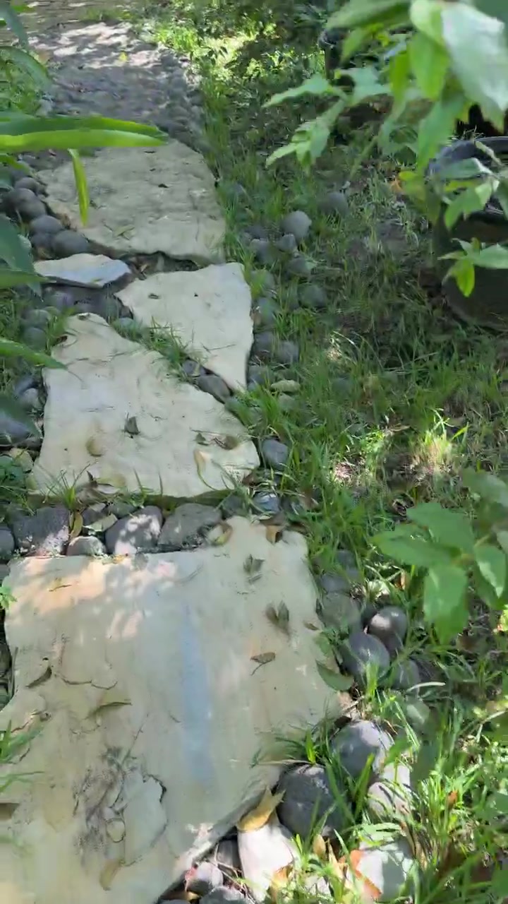 Walking Along a Stone Garden Path in a Sunny Backyard