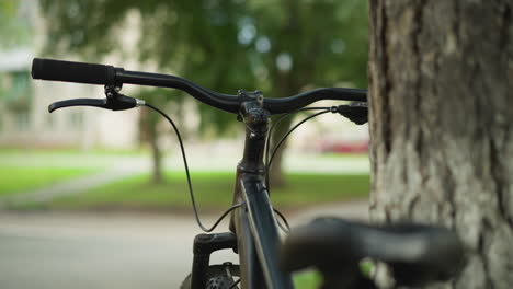 close-up of bicycle handlebars and front frame leaning against tree in lush green park with blurred background of trees and distant building