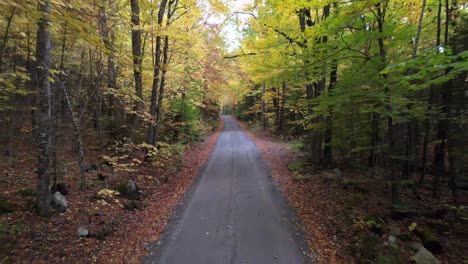 new hampshire dirt road with leaves on ground yellow trees