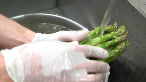 hands washing asparagus close up.