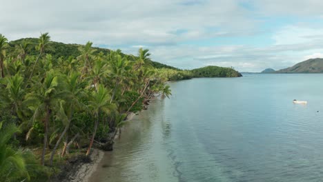 La-Hermosa-Isla-De-Fiji-Compuesta-De-Palmeras-Y-Aguas-Prístinas---Toma-Aérea