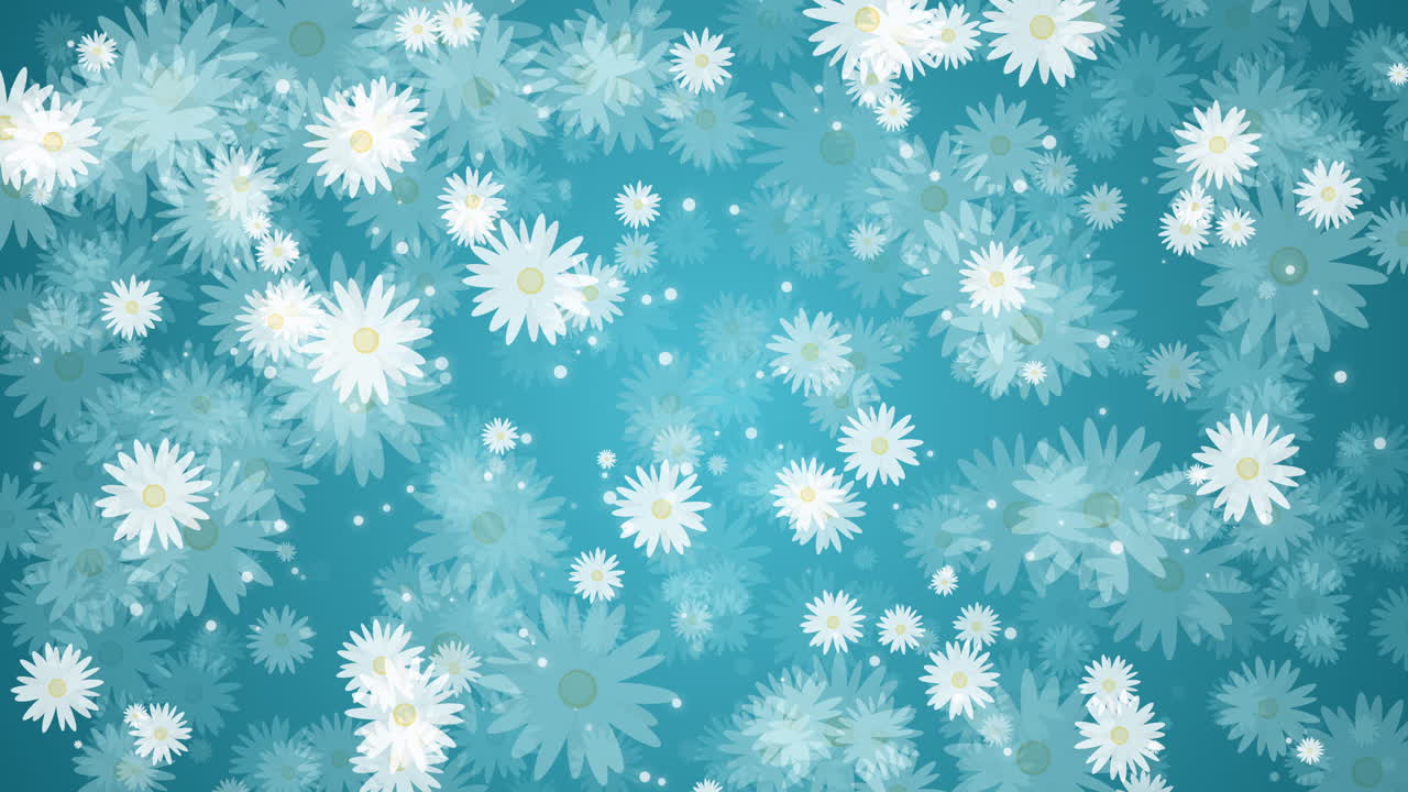 Chamomile flowers with white petals. Summer plants rotate, appear and disappear. Seamless turquoise background. Abstract motion graphics. Looped video.
