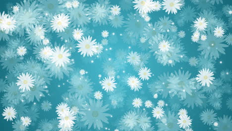 chamomile flowers with white petals. summer plants rotate, appear and disappear. seamless turquoise background. abstract motion graphics. looped video.