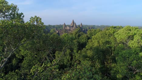 angkor wat tree zipline camera aerial drone cambidia temple buddhist