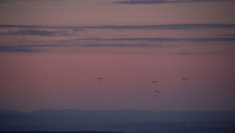 paracaídas contra el cielo al atardecer