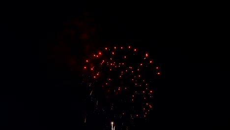 hermosos fuegos artificiales de colores. celebración