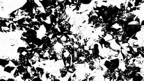 abstract black and white fragmented texture