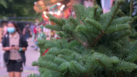 Ein-Nahaufnahmedetail-Auf-Weihnachtskiefern-Für-Heimdekoration-Wird-Zum-Verkauf-Gesehen,-Während-Fußgänger-Im-Hintergrund-In-Hongkong-Vorbeigehen