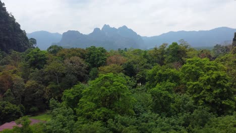 flying above the trees, villages, and the jungle landscape of khao sok national park with rock formations in the background in thailand in southeast asia