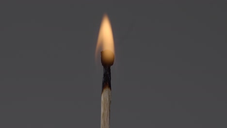 a matching stick with fire slowly burning until it dies. -close up shot
