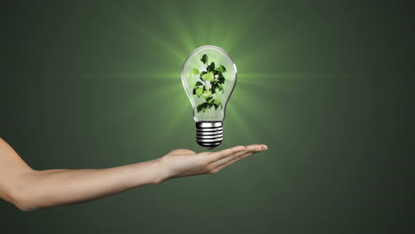 Hand-presenting-light-bulb-with-growing-plant