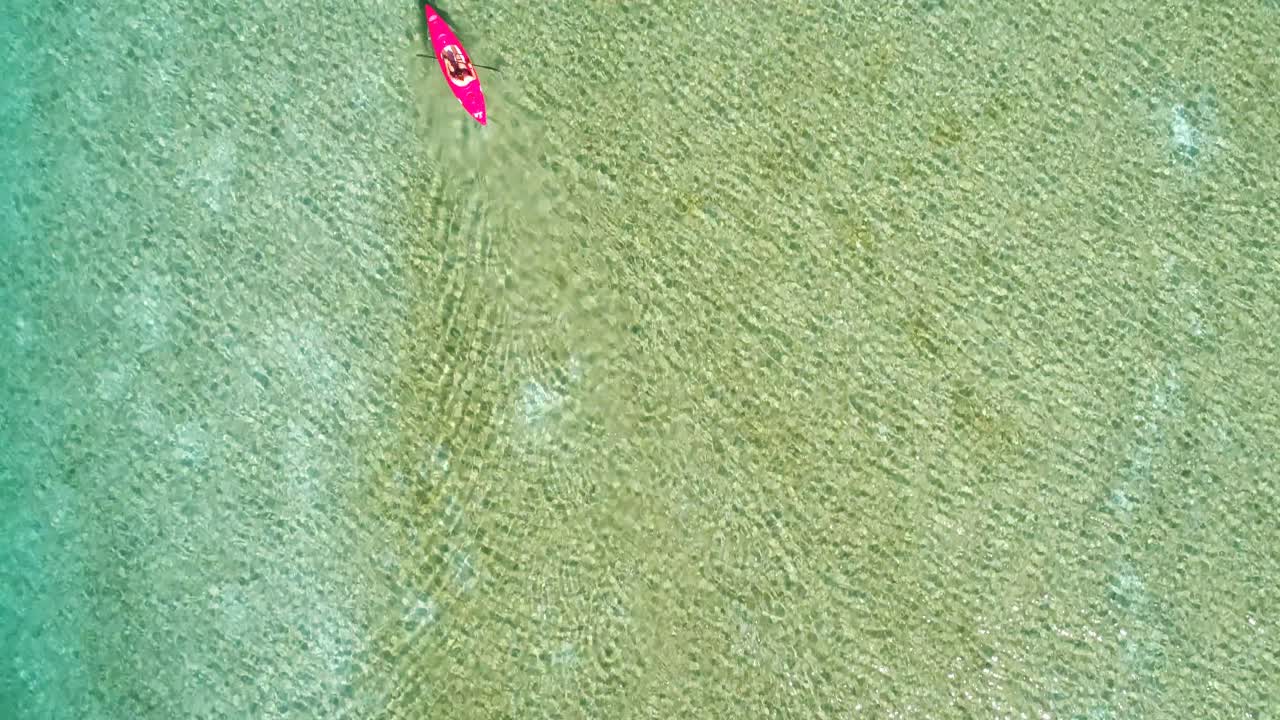 Aerial view of woman kayaking on a lake 4k