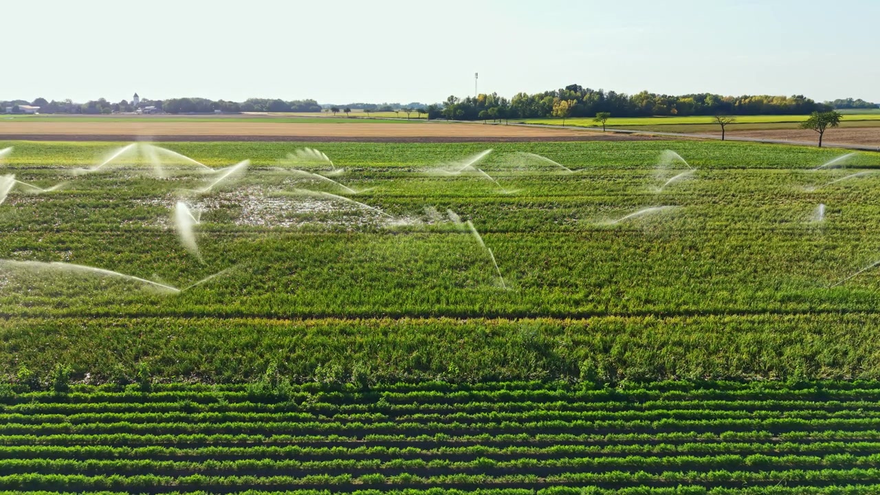 Système d'irrigation arrosant des cultures vertes par une journée ensoleillée dans un champ rural.
