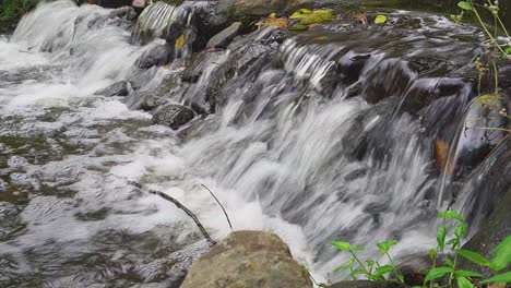 Pequeña-Cascada,-Agua-De-Riachuelo-Cayendo-Por-Las-Rocas,-Día-De-Verano-Tranquilo,-Selva-Tropical