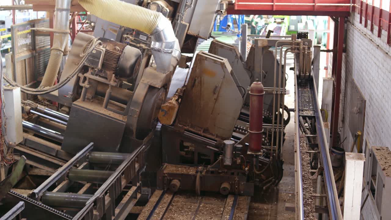 Modern woodworking plant. Process of robotic machinery on a sawmill. Industrial equipment working with tree trunks.