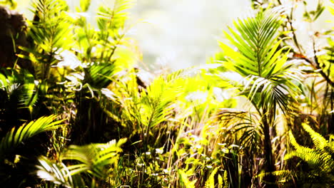 close up jungle grass and plants