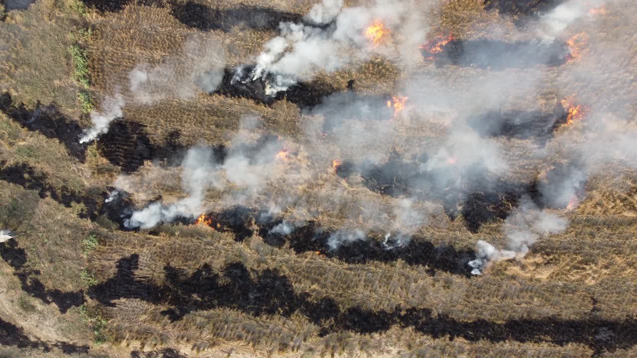 contaminación del aire