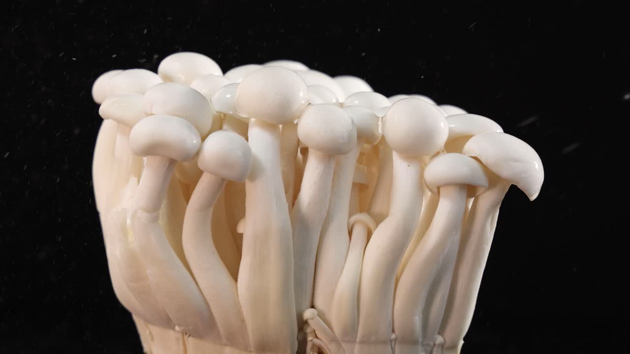 A cluster of enoki mushrooms is sprayed with water, captured in slow motion against a black background with dramatic studio lighting and static camera