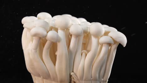a cluster of enoki mushrooms is sprayed with water, captured in slow motion against a black background with dramatic studio lighting and static camera