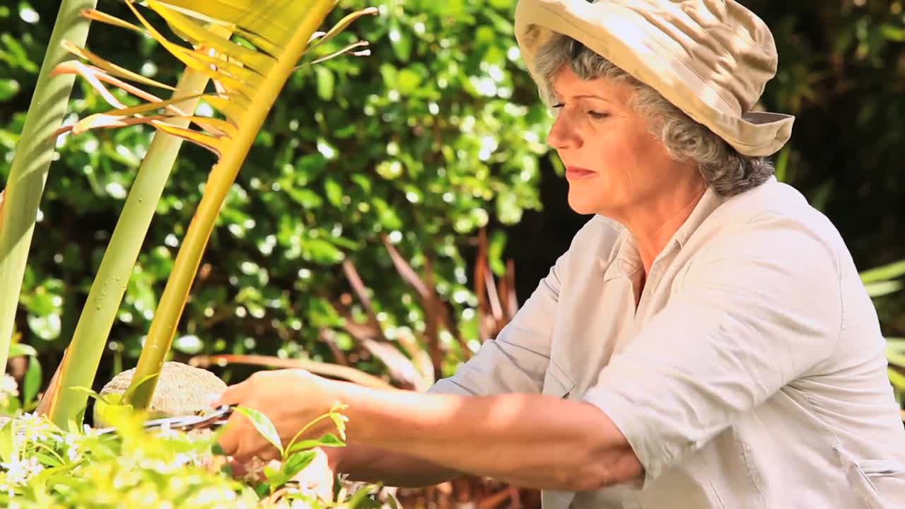 관목 을  ⁇ 는 여자