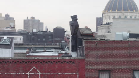 Two-Early-Morning-Subway-Trains-Crossing-Above-Brooklyn-Rooftops,-Birds-Flying