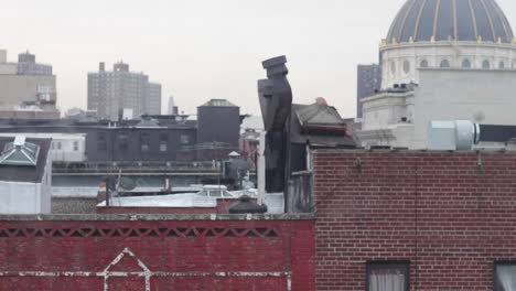 two early morning subway trains crossing above brooklyn rooftops, birds flying