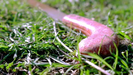Close-up-footage-of-isolated-thrown-hand-saw,-at-grass-surface