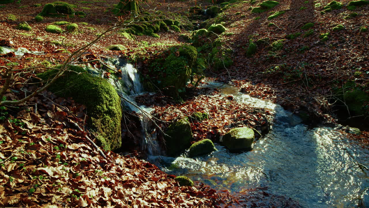 Beginning of a Mountain River with Pure, Clear Water Flowing Between Dry Leaves