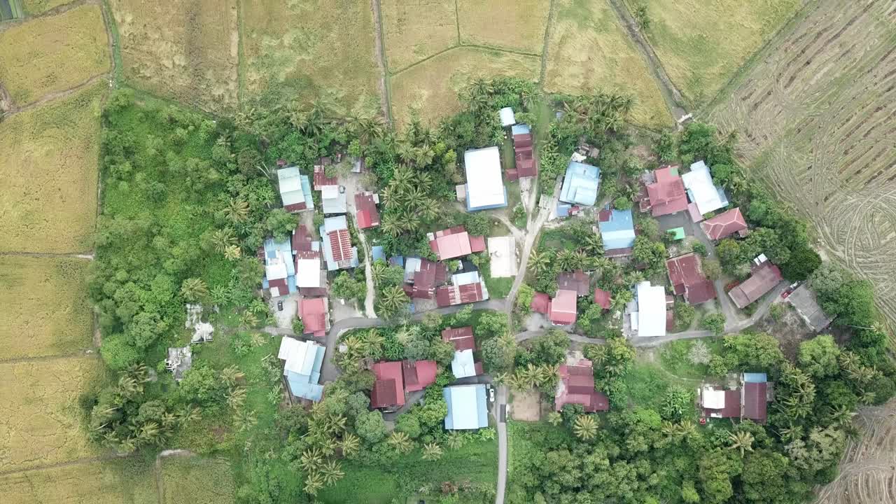 말레이시아의  ⁇  ⁇   ⁇  안의 말레이 마을의 조류 전망.