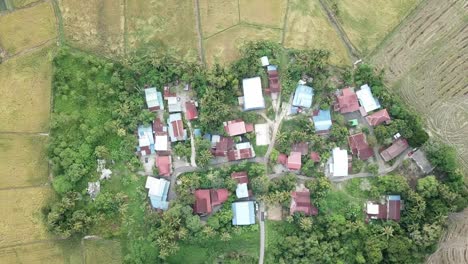 Vista-De-Pájaro-Sobre-El-Pueblo-Malayo-Dentro-De-Los-Arrozales-En-Malasia.