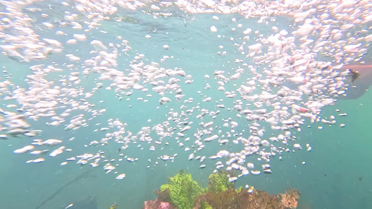 호수 에서 카야크 를 타고 있는 수중 풍경