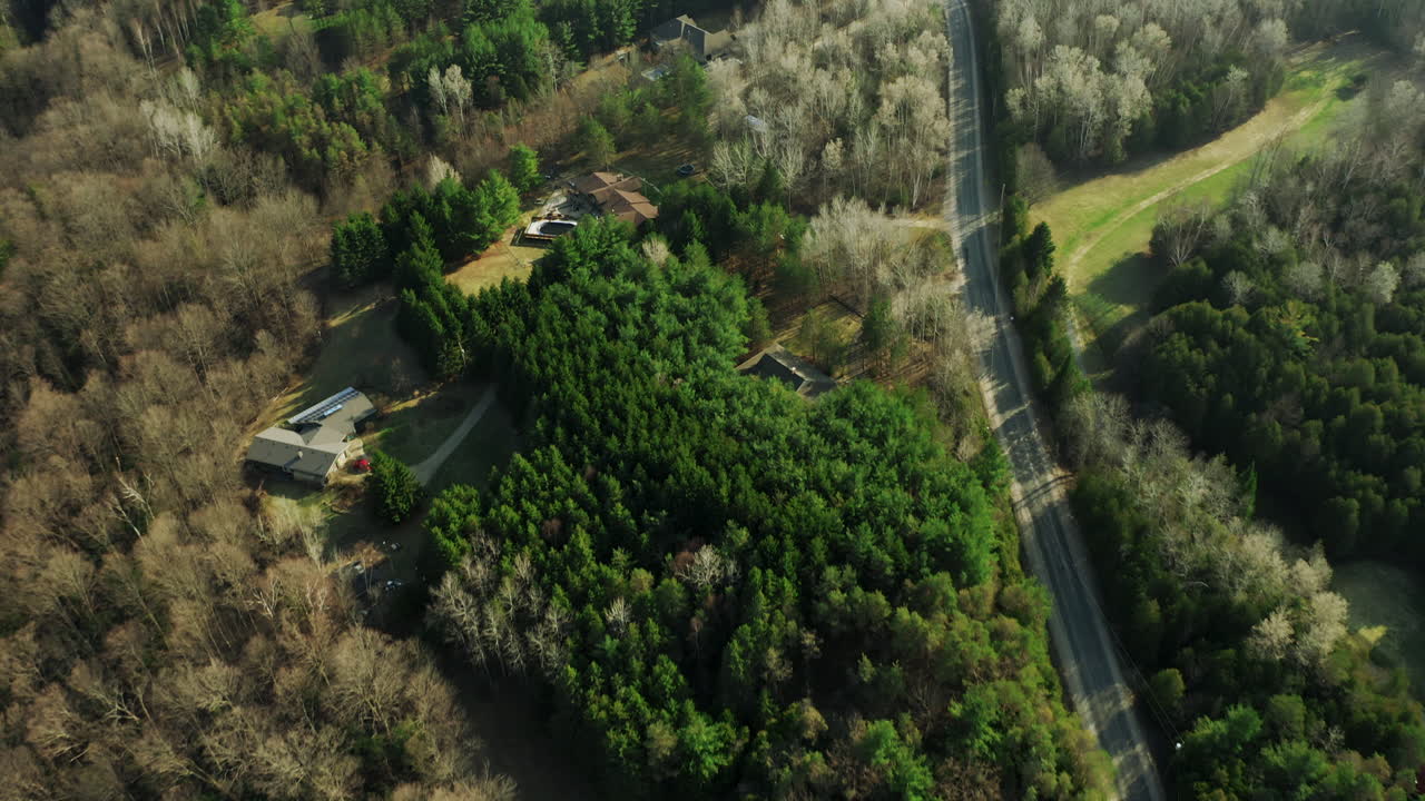 자동차가 운전하는 시골 시골 도로를 둘러싸고 있는 두꺼운 울창한 녹색 숲
