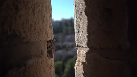 vista desde las murallas jerusalén israel