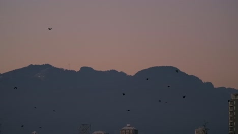 Seguimiento-De-Tomas-En-Cámara-Lenta-De-Pájaros-Volando-Sobre-El-Paisaje-Urbano,-Al-Anochecer