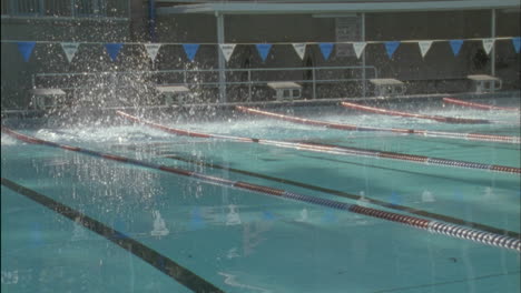 swimmers jumping in the water and swimming front crawl