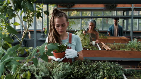 Jardineros-Trabajando-En-Invernadero