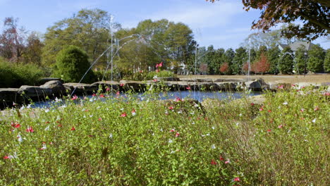 flores perennes decorativas rosadas y blancas cerca de una fuente de agua en un parque público