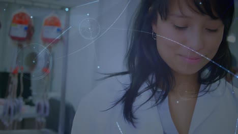 animación de la red de conexiones a través del médico