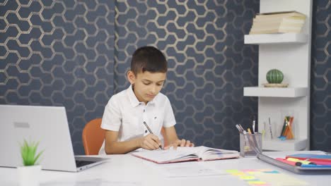 El-Chico-Que-Estudia-Está-Terminando-Su-Tarea.