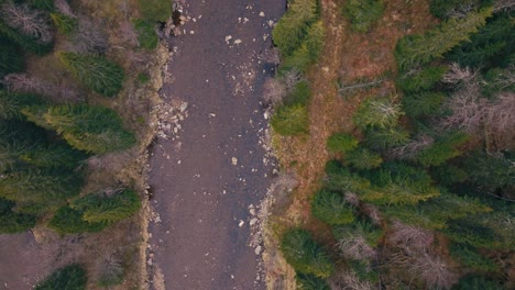 aerial view of river with conifer trees in norway.