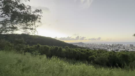 A-serene-view-of-Honolulu-at-sunset,-with-lush-greenery-and-a-tree-in-the-foreground,-and-the-cityscape-and-Diamond-Head-in-the-distance-under-a-soft,-glowing-sky