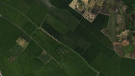 el paraíso del campo.