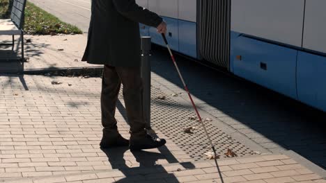 visually impaired man crossing the road with his stick with the help of tactile pedestrian sidewalk for the visually impaired in the city.