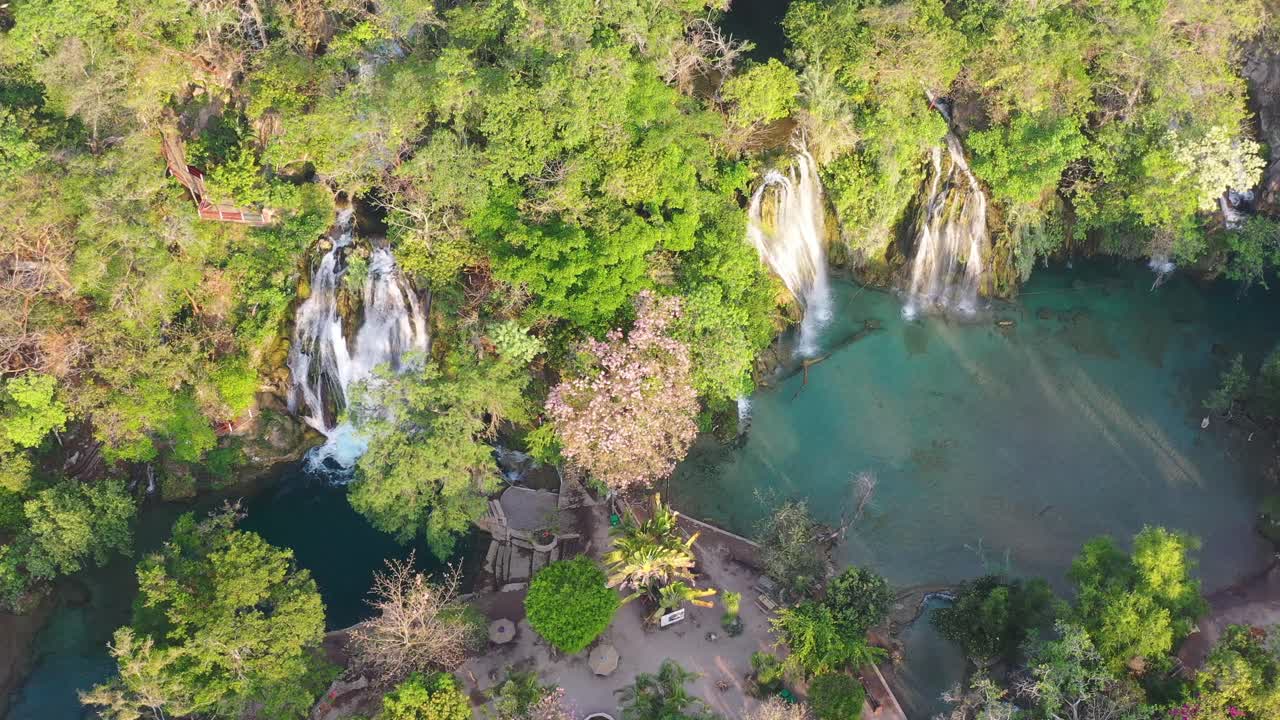 vista aérea de las asombrosas cascadas de tamasopo rodeadas de árboles en san luis potosí, méxico