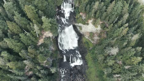 Bird's-Eye-View-Of-The-Cascades-On-The-Rocky-Mountains-Amidst-Pine-Trees-In-British-Columbia,-Canada