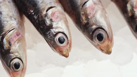 anchoas frescas en hielo