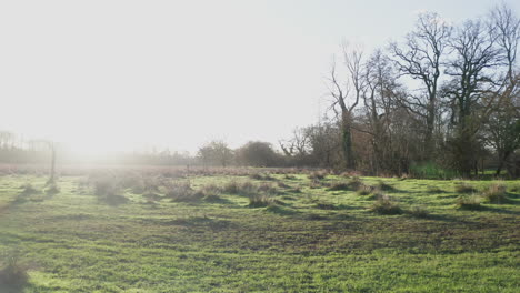 Low-moving-image-over-open-countryside,-on-a-bright-winter-morning