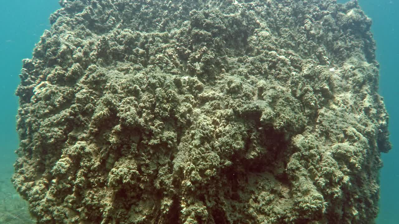 남부 유럽 마케도니아의 오흐리드 호수 바닥에 있는 거대한 바위