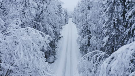 aerial drone video of snow bent tree branches over remote forest road