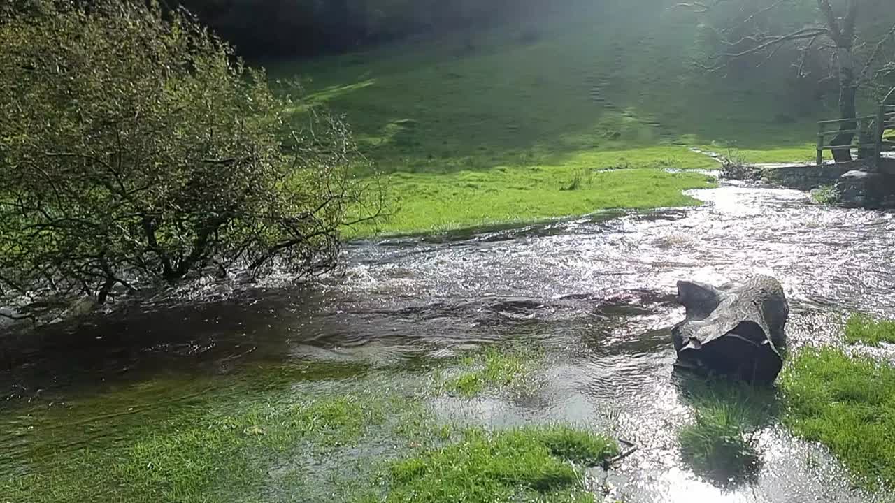 un hermoso arroyo ondula bajo un puente en el verde paisaje de la isla de anglesey, gales